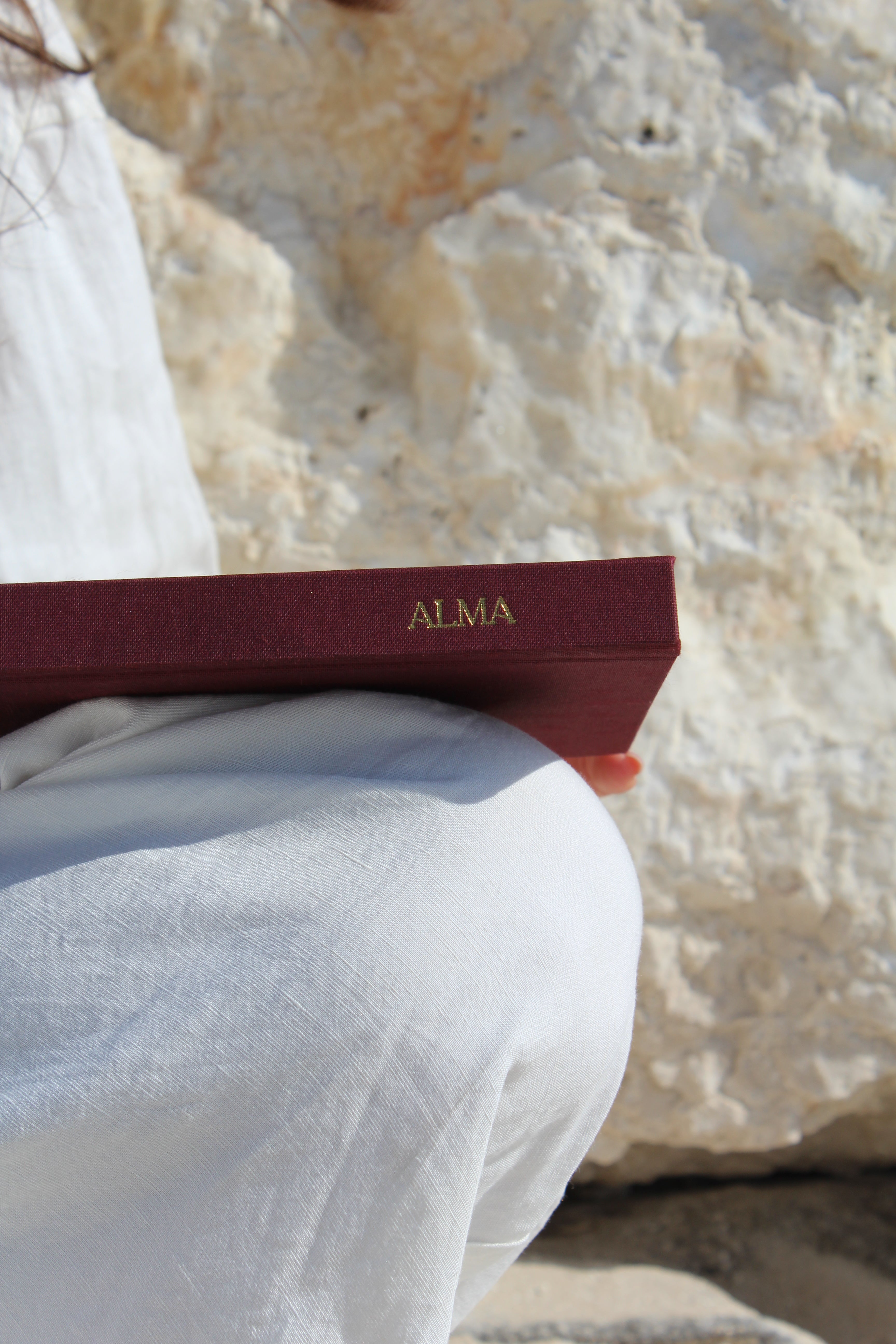 ALMA magical journey