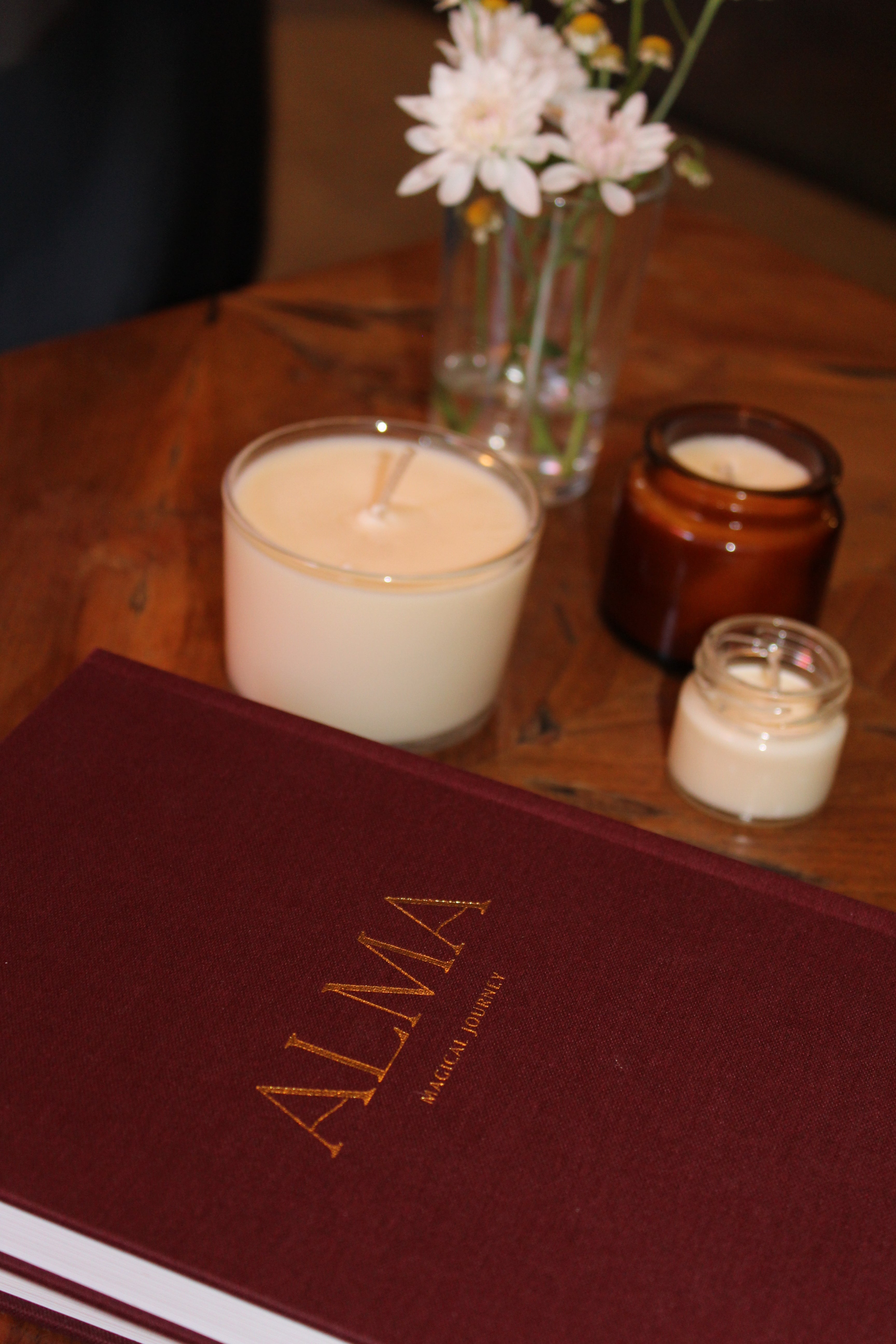 ALMA magical journey