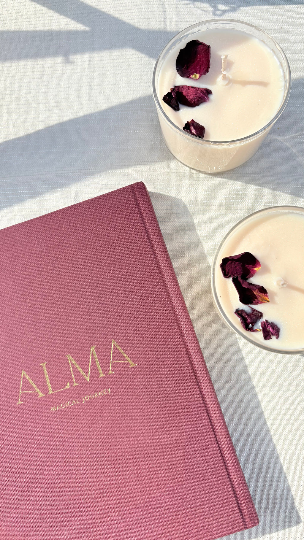 ALMA magical journey