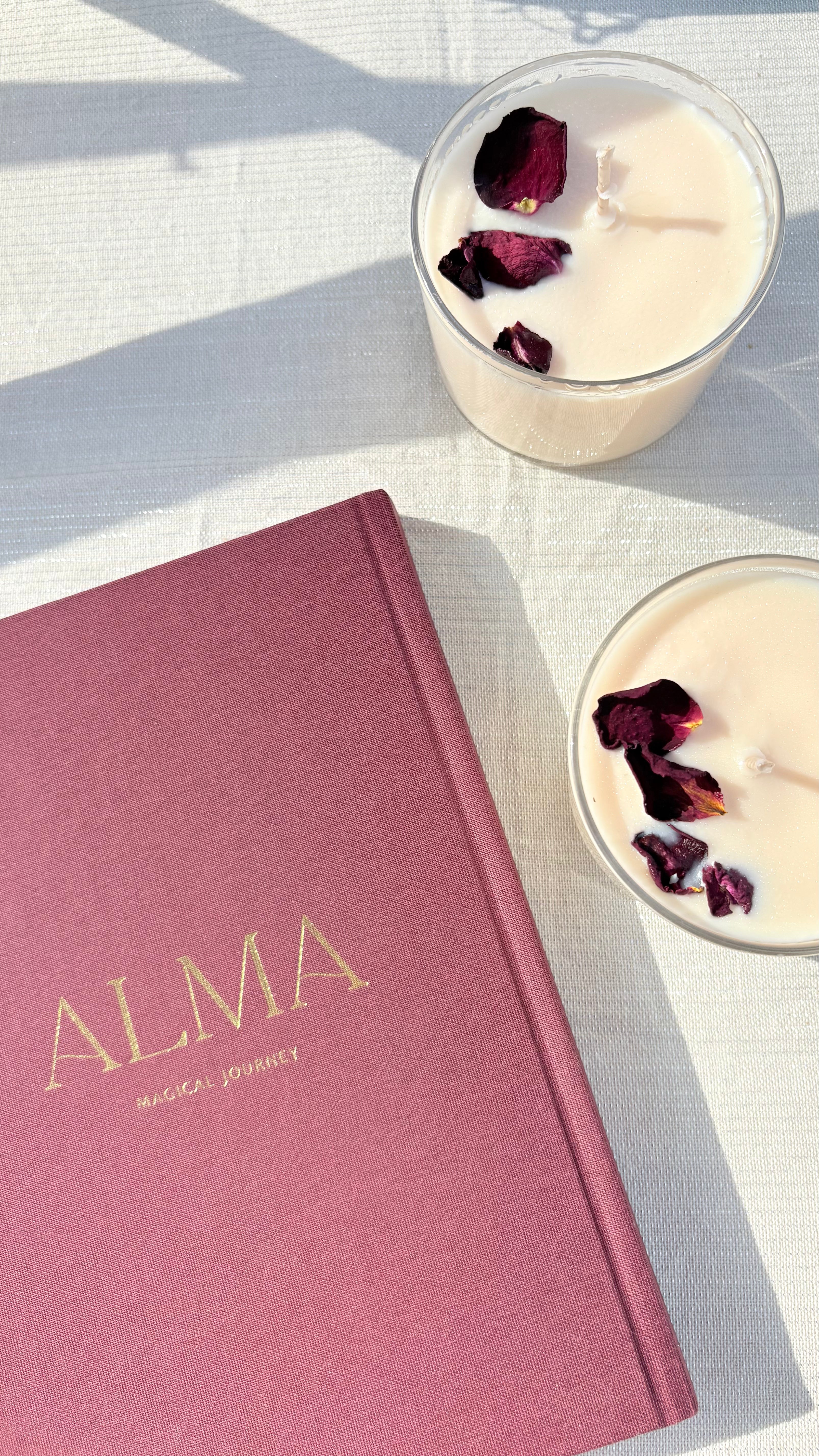 ALMA magical journey